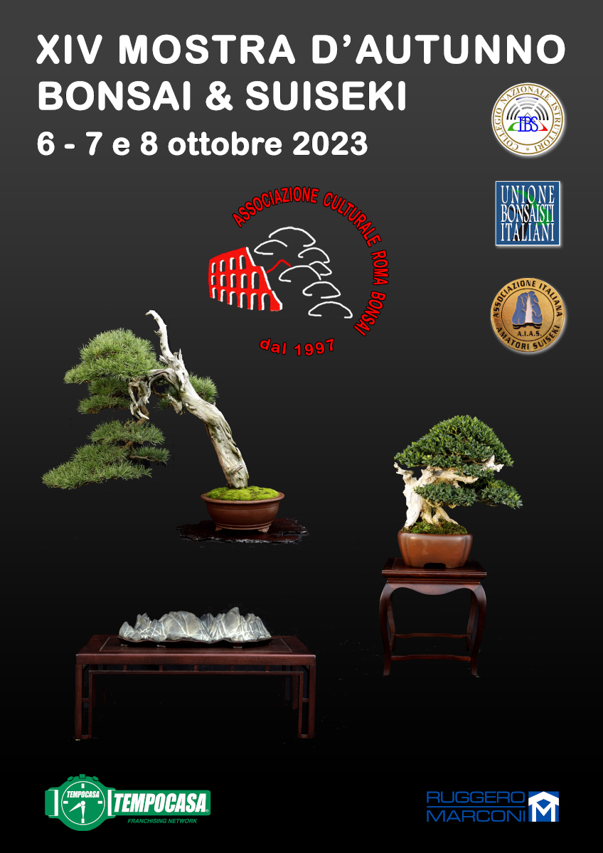 Locandina Mostra Bonsai e Suiseki a Roma - 2023